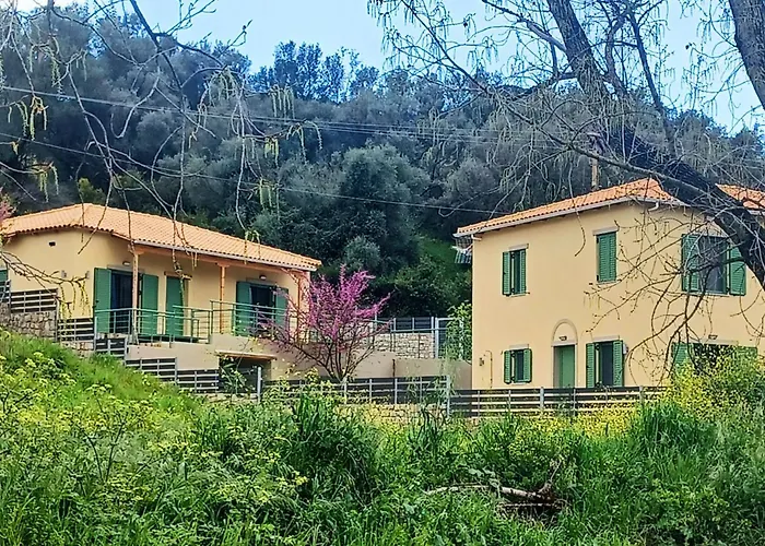 Miliasia * Kondaraíni